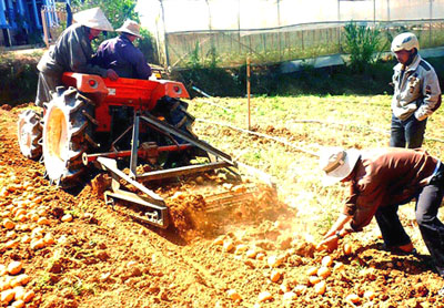 Nông dân chế tạo máy đào khoai tây