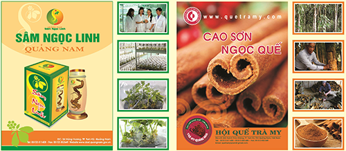Những nội dung cần quan tâm trong công tác đăng ký nhãn hiệu, thực hiện quy định về nhãn hàng hóa, gắn tem truy xuất nguồn gốc, mã vạch đối với sản phẩm OCOP